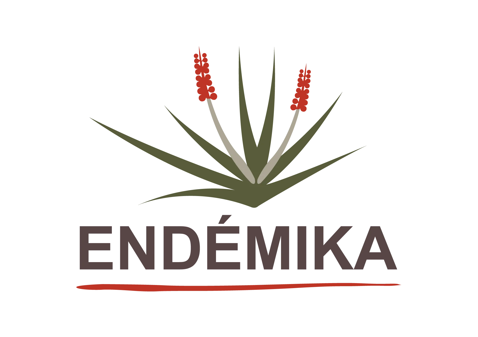 Endemika logo fond transparant png