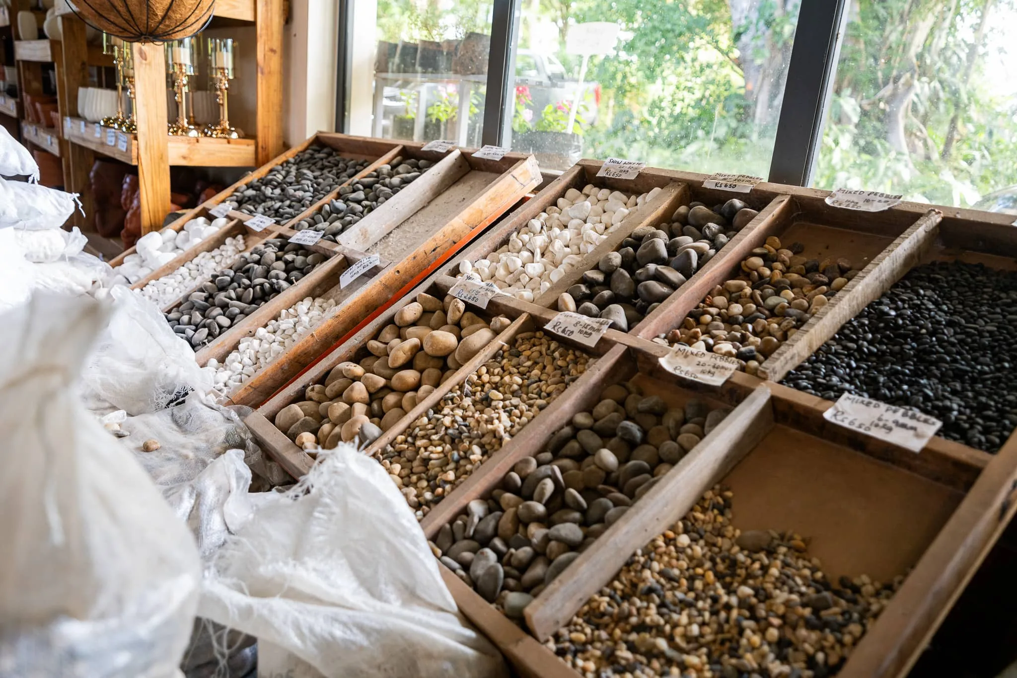 Maison_rouillard_endemika_pepiniere_boutique_jardin_ile_maurice (3)