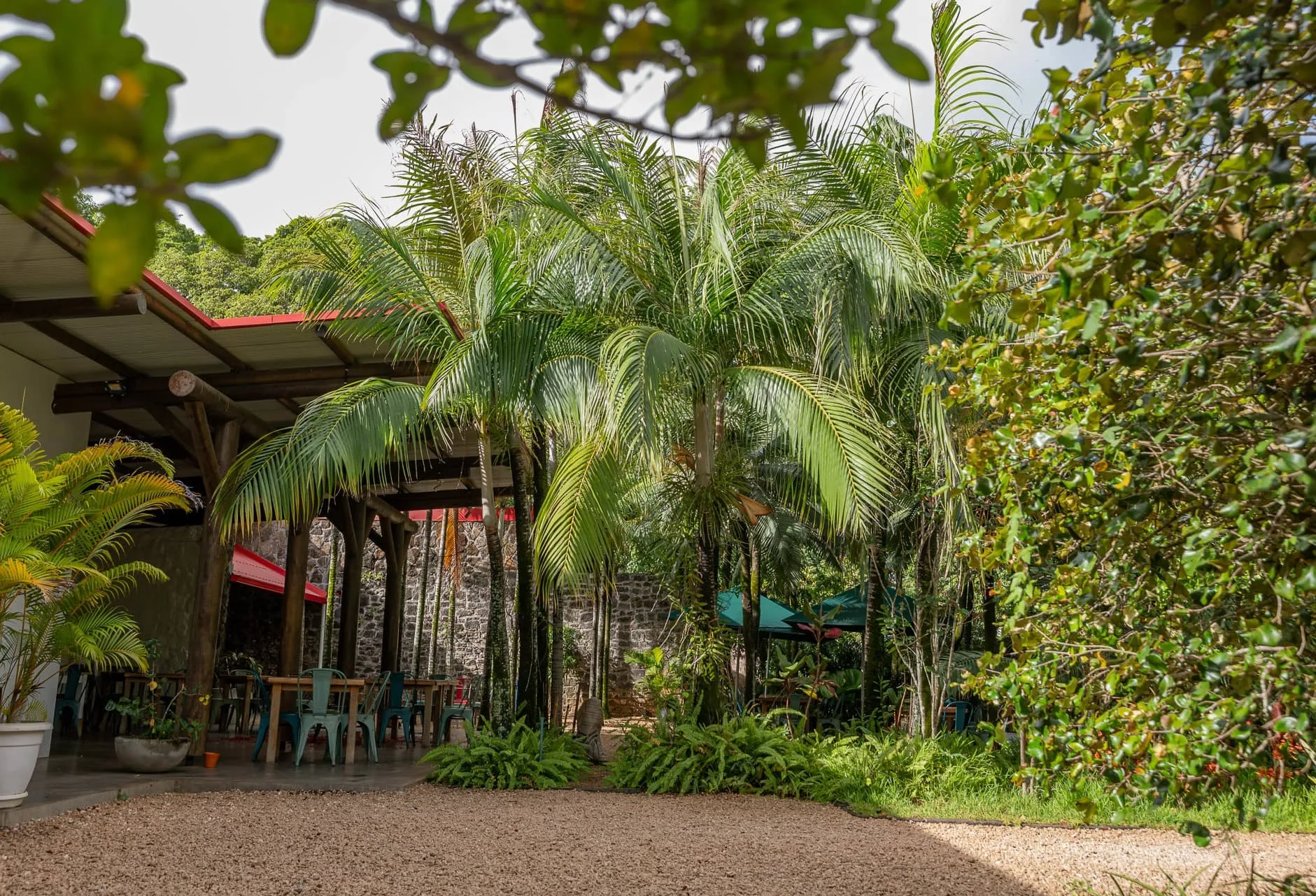 maison_rouillard_endemika_immobilier_property_north_mauritius_rent_office_bureau_business (3)