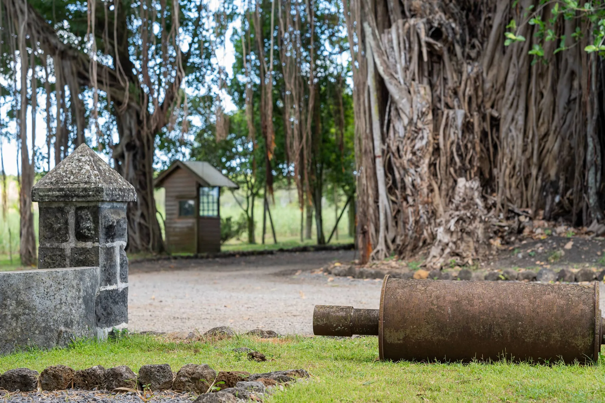 maison_rouillard_endemika_immobilier_property_north_mauritius_rent_office_bureau_business (8)