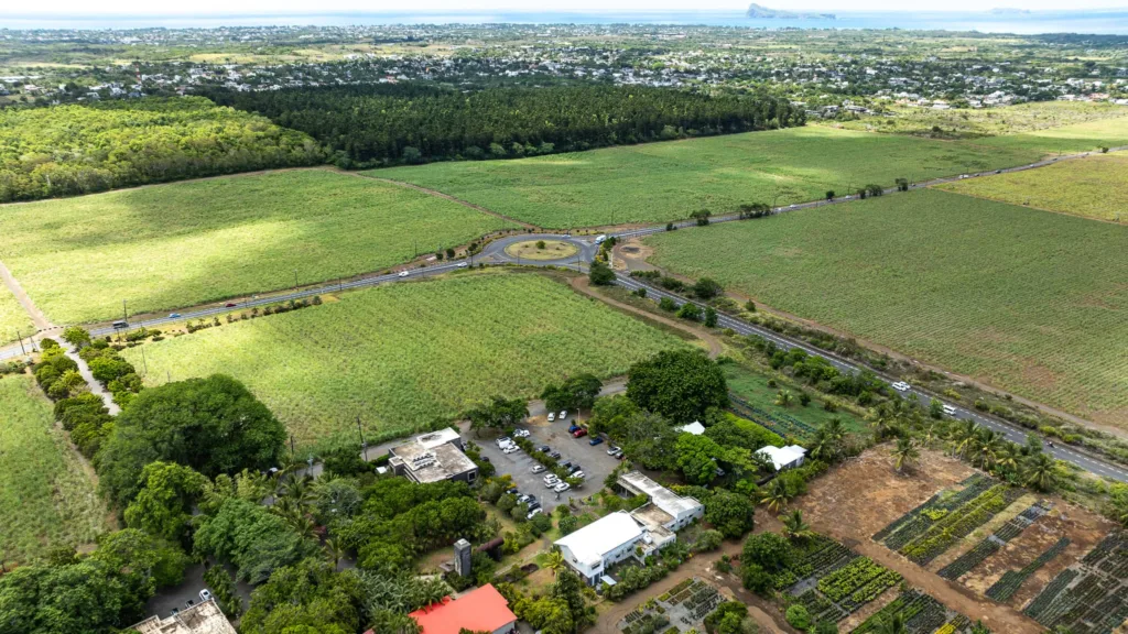 maison rouillard endemika terrain development business park 2