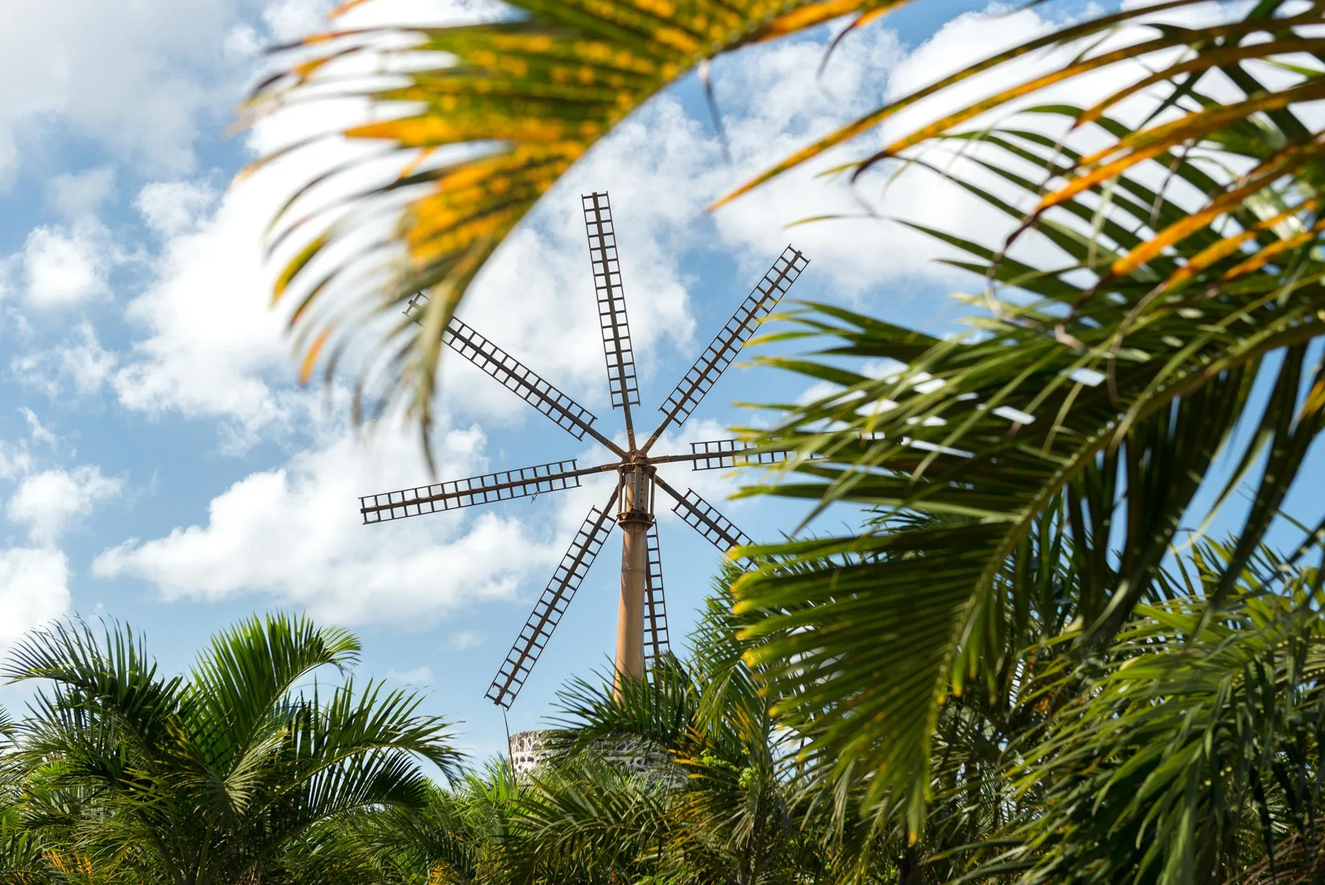 maison_rouillard_endemika_terrain_development_business_park (6)