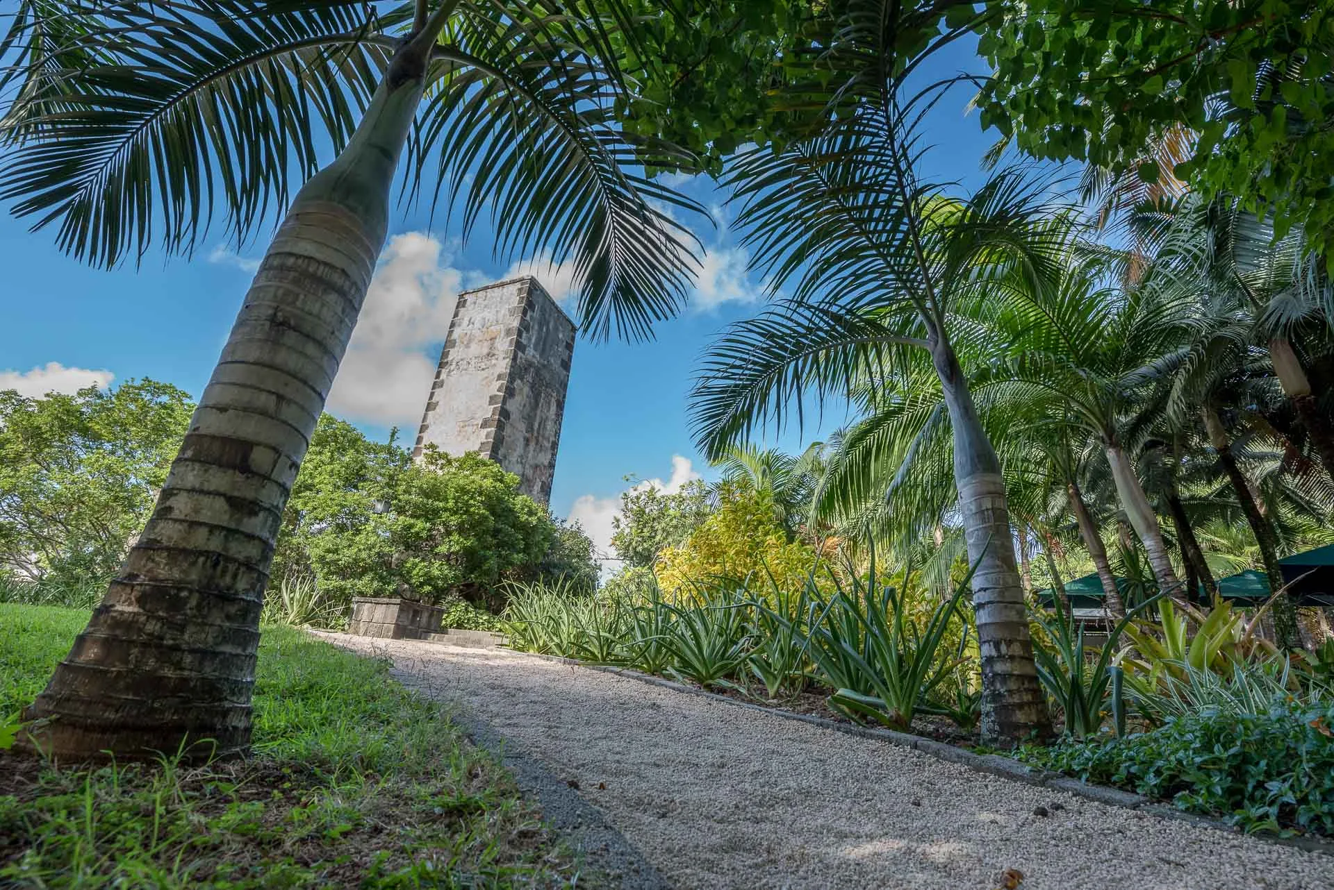 Maison Rouillard - Endemika developpement