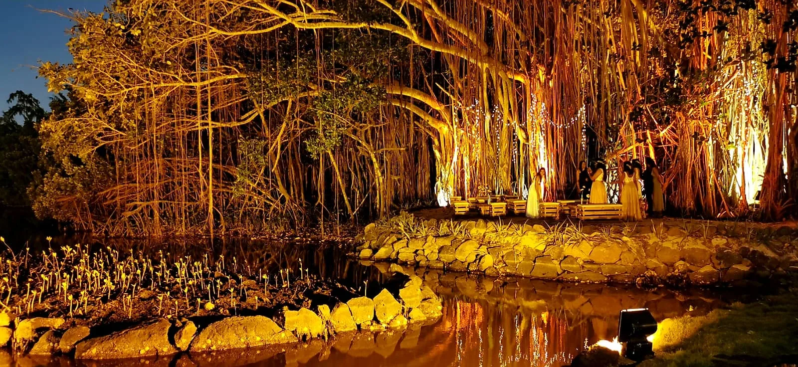 maison_rouillard_paletuviers_event_evenementiel_mariage_location_rental_mauritius (1)