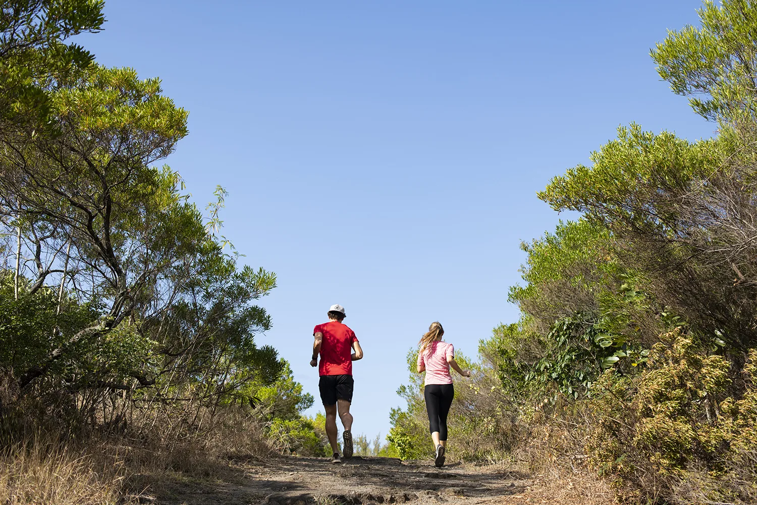 maison_rouillard_paletuviers_parc_nature_endemic_north_tourism_mauritius (2)