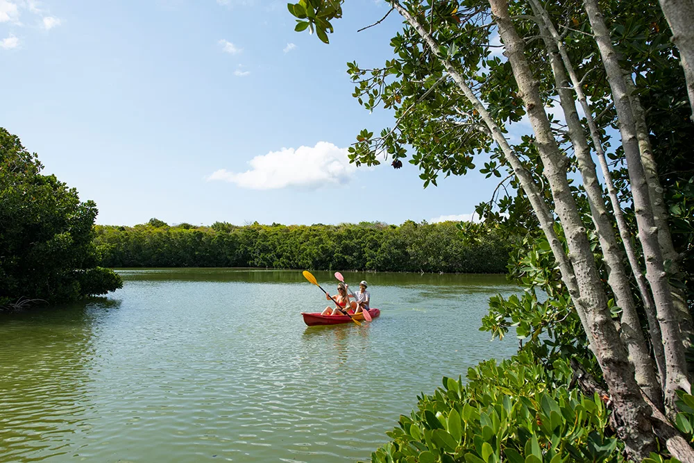 maison rouillard paletuviers parc nature endemic north tourism mauritius 4