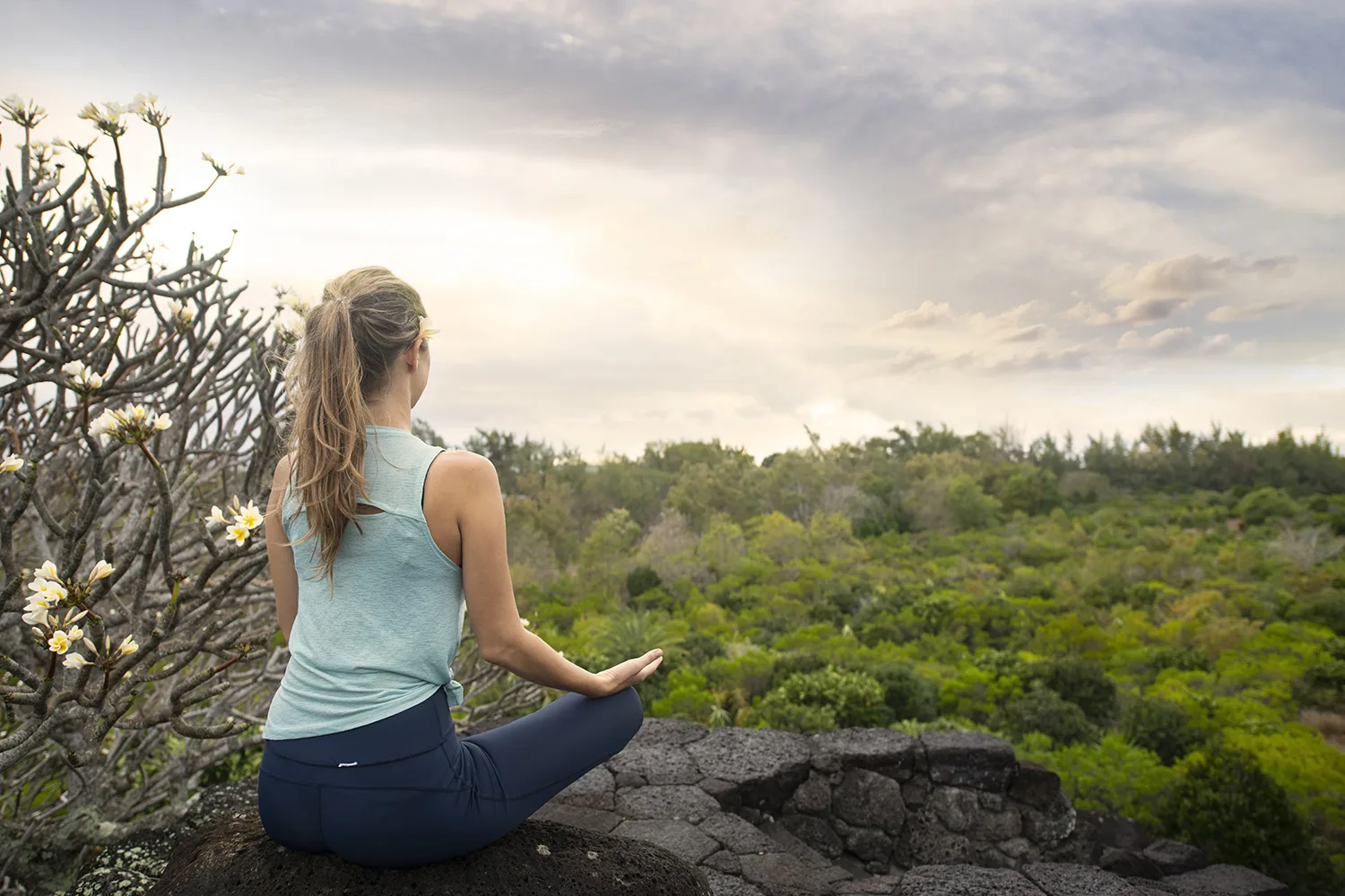 maison_rouillard_paletuviers_parc_nature_endemic_north_tourism_mauritius (6)