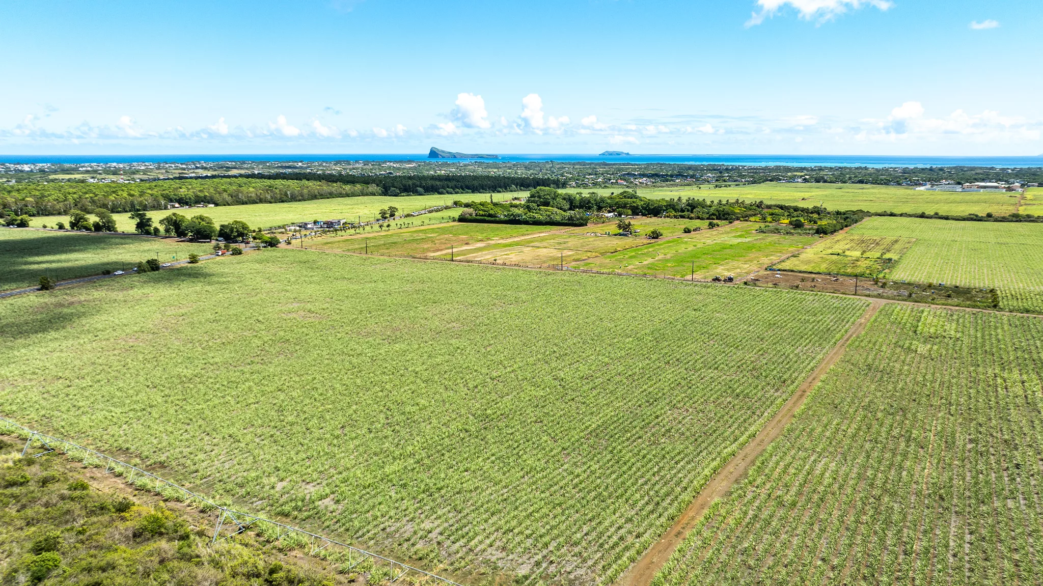 DJI_0575