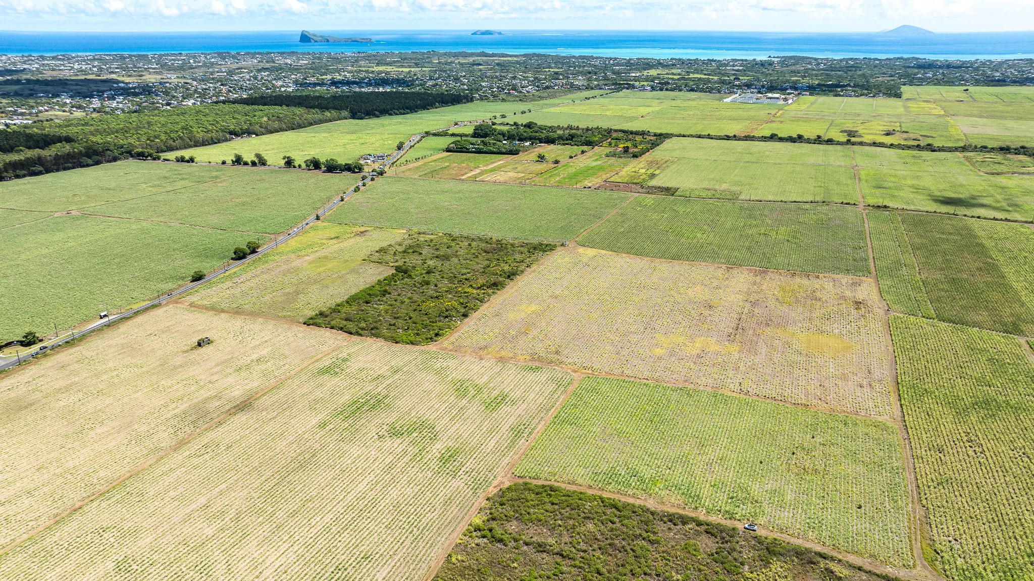 DJI_0582