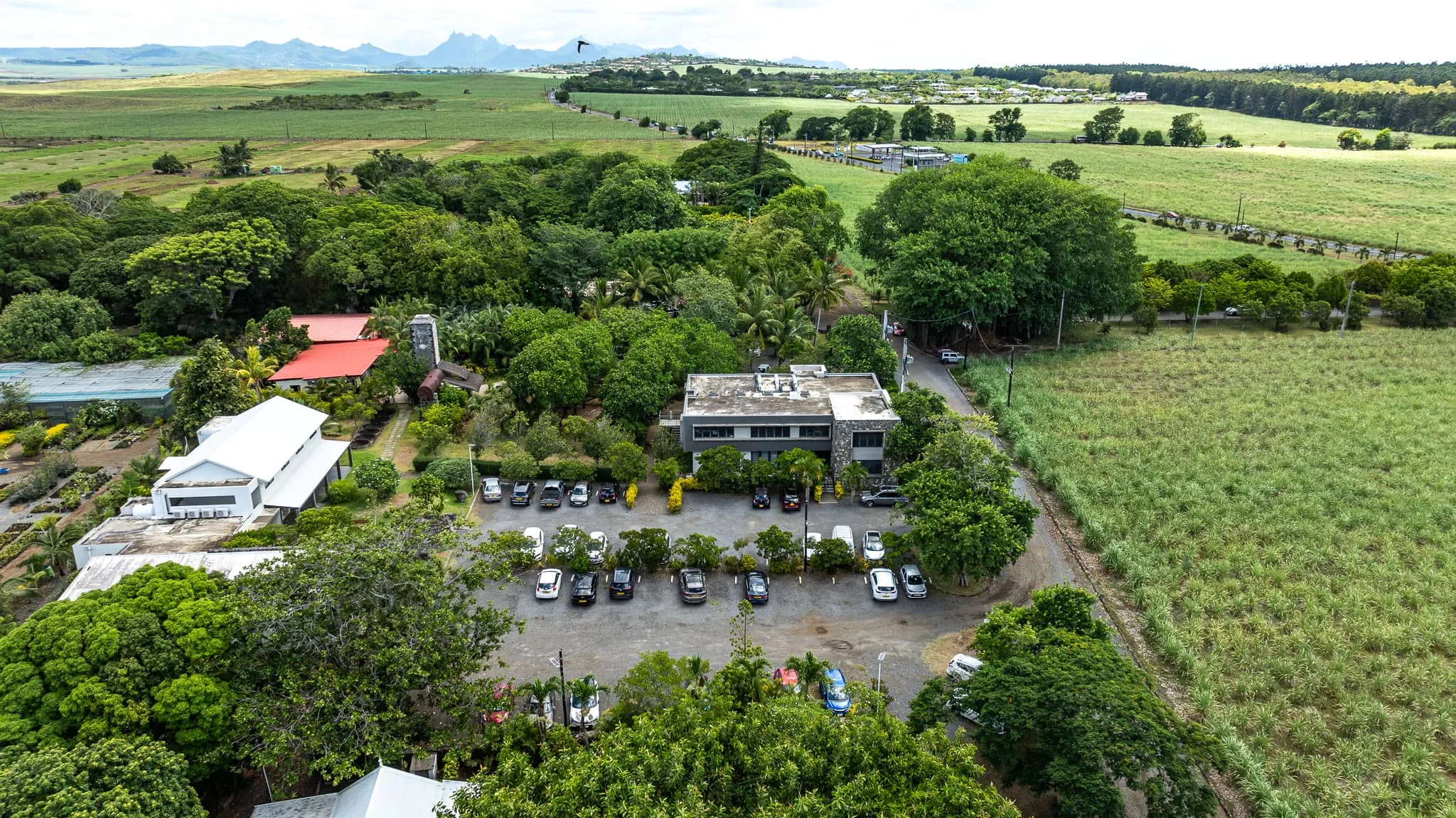Immobilier 9 maison_rouillard_endemika_immobilier_property_north_mauritius_rent_office_bureau_business (5)