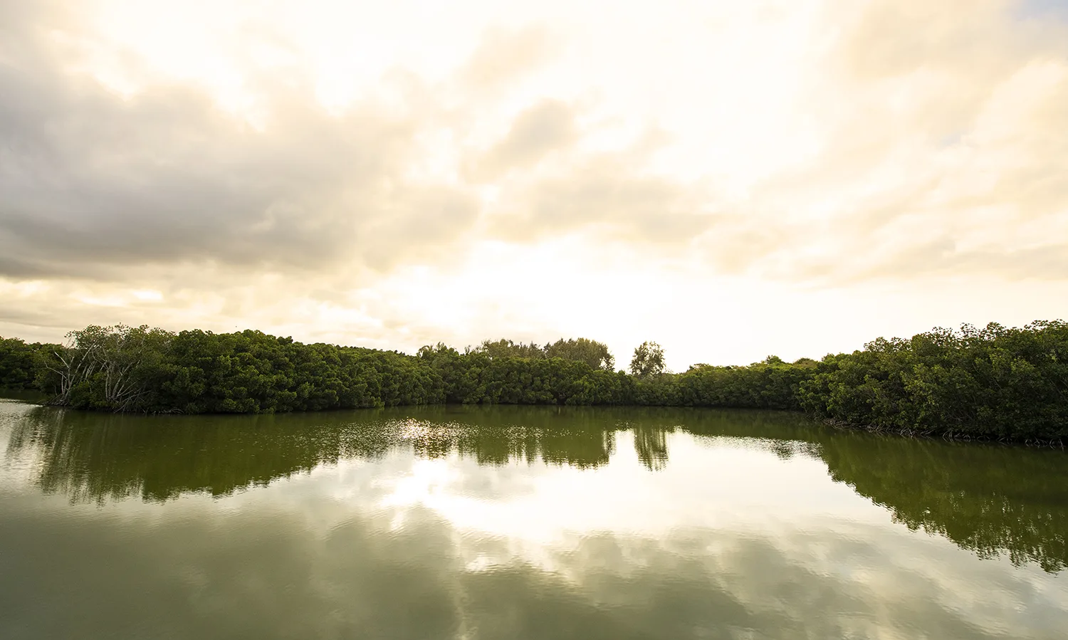 Développement territorial 3 maison_rouillard_paletuviers_development_property_investment_mauritius_north (6)