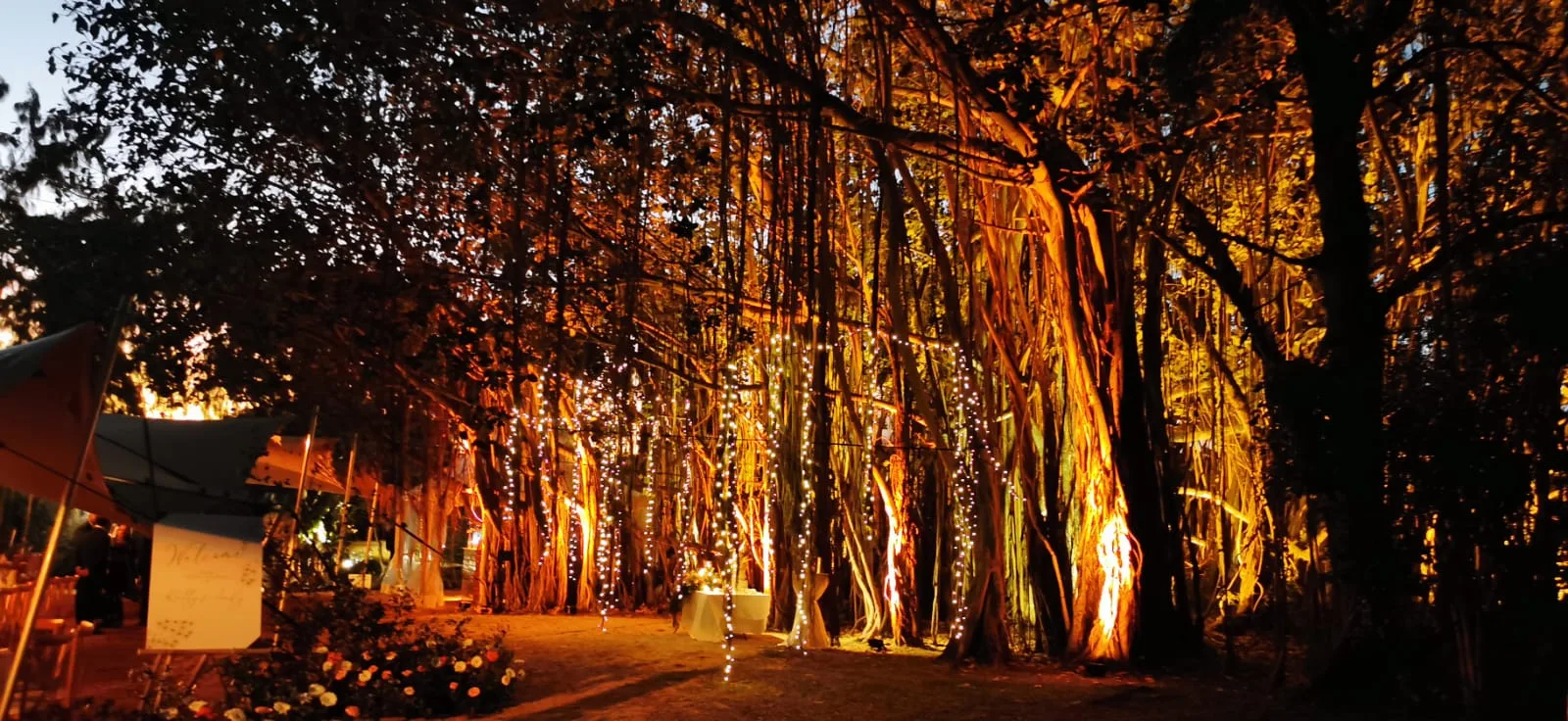 Tourisme & Loisirs 2 maison_rouillard_paletuviers_event_evenementiel_mariage_location_rental_mauritius (7)