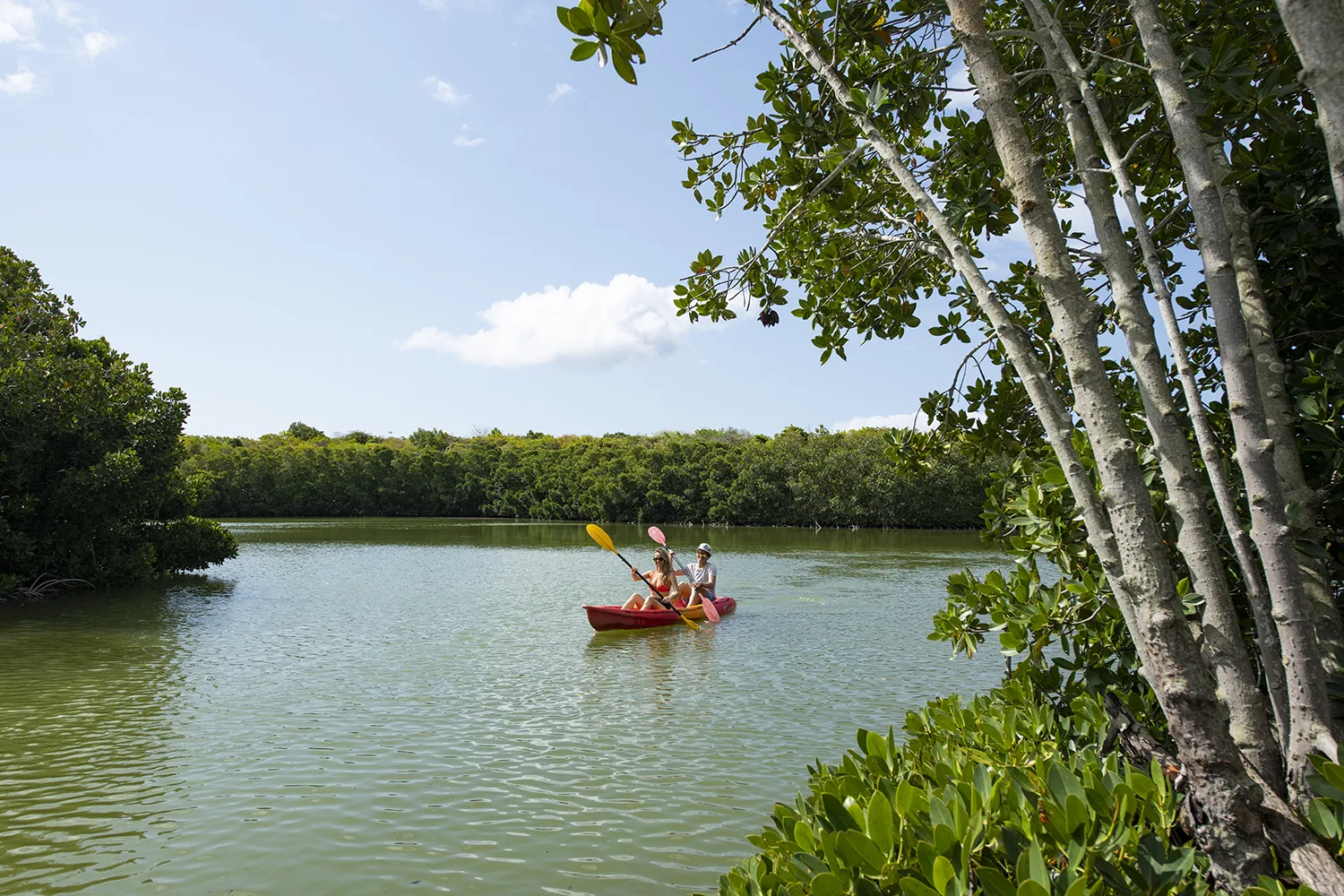 Tourisme & Loisirs 13 maison_rouillard_paletuviers_parc_nature_endemic_north_tourism_mauritius (4)